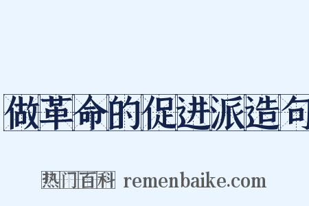 做革命的促进派造句是什么意思的图片